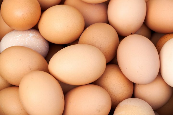 close up of many fresh eggs