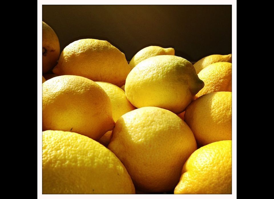 Lemons glowing like young searchlights