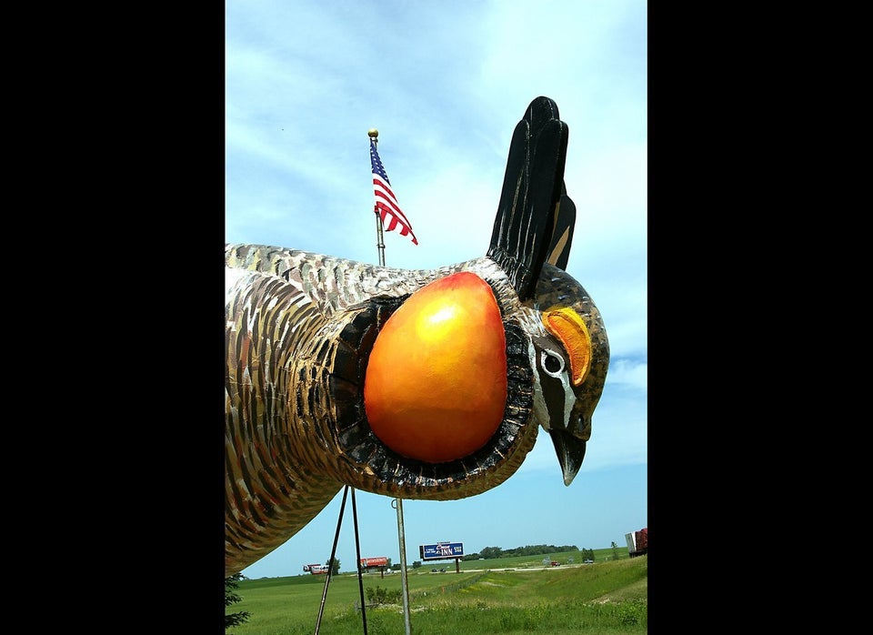  Prairie-Chickens