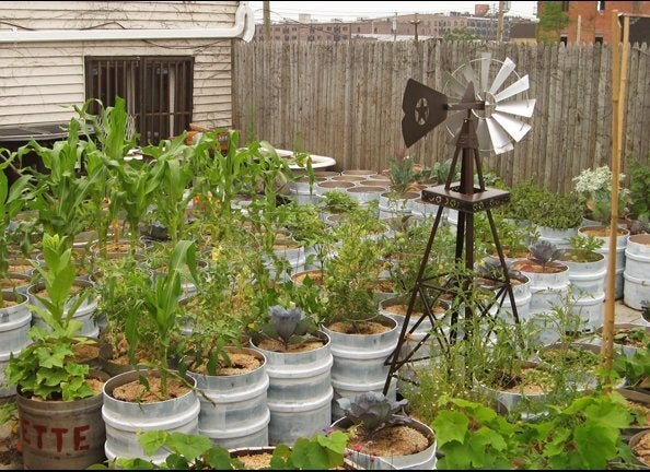 Restaurants with gardens (e.g. rooftop, back-yard, communal)