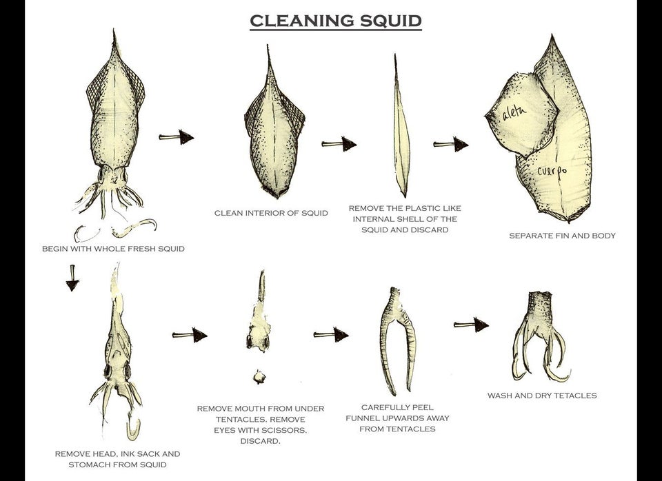 Cleaning Squid