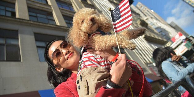 NEW YORK, NY - NOVEMBER 11: A wife of a soldier and her dog watch the annual Veterans Day Parade, aka 'America's Parade' on November 11, 2014 in New York City. The parade, known to be our nation's largest event of it's kind, is themed 'Land of the Free/Home of the Brave', in honor of the 200th anniversary of the writing of the Star Spangled Banner. (Photo by Michael Loccisano/Getty Images)