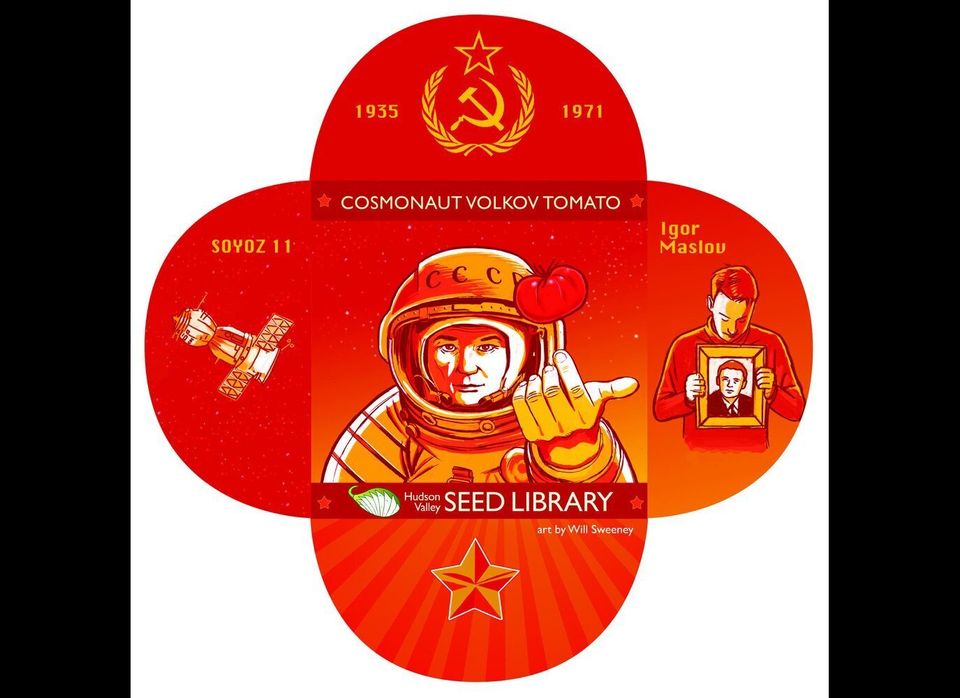 Cosmonaut Volkov Tomato