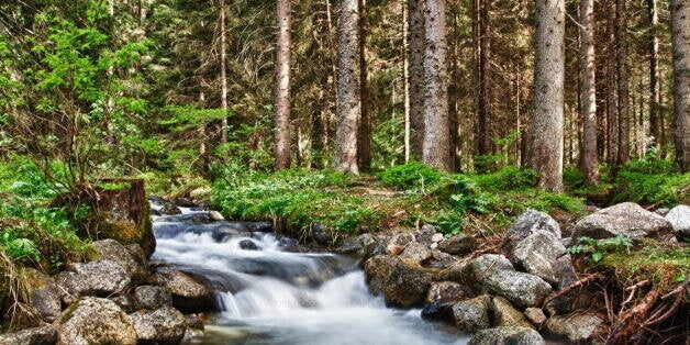 Torrente