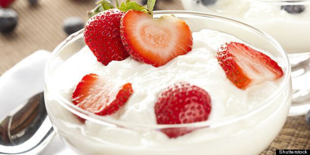 fresh organic greek yogurt with ...