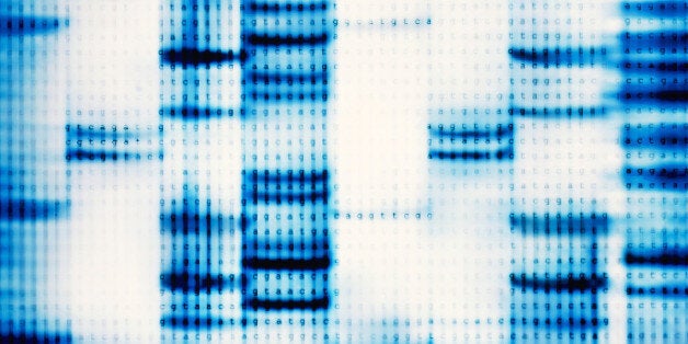 Cytosine, Adenine, Thymine and Guanine are amino acids that form the basic building blocks of DNA.