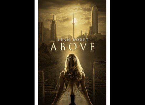 Above By Leah Bobet 