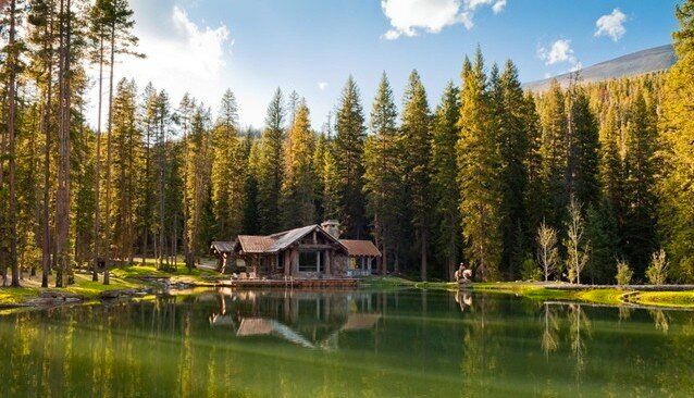 A Rustic Cabin With Dive-In Pond | HuffPost Life