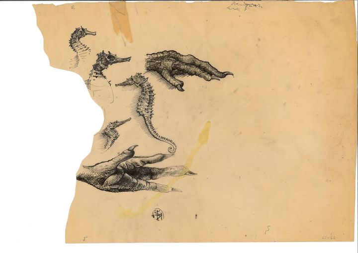 Σχέδια εκ του φυσικού, 28 Χ 35 εκ., μελάνι σε διαφανές χαρτί, 1965