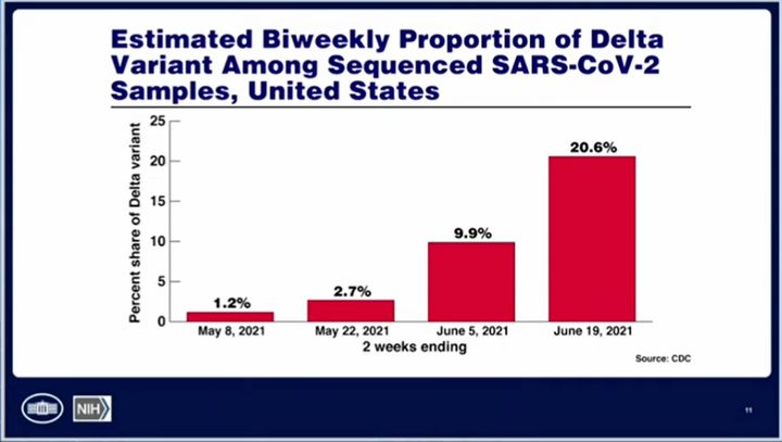 Delta variant cases in the U.S. have been rapidly increasing since early May, currently making up about 20% of cases.