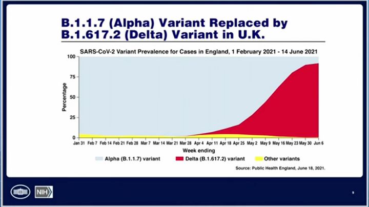Delta variant cases in the U.K., seen in the graph in red, are also dominating all other variants.
