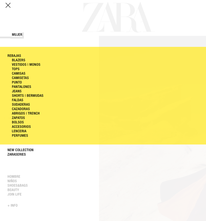 La web de Zara, preparada