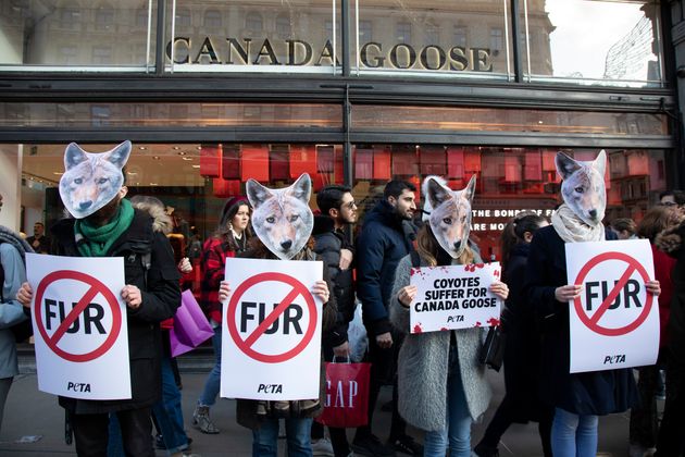 コヨーテのマスクをつけ、ロンドンにあるカナダグースの店舗前で抗議する人たち（2019年11月29日）