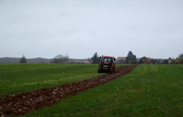 Photo d'illustration prise dans une ferme de Villeneuve-sur-Auvers le 26 novembre 2019. REUTERS/Gonzalo Fuentes/File Photo