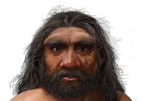 Cette Nouvelle Espece D Homme Prehistorique Serait Plus Proche De Nous Que Neandertal Le Huffpost Cette Nouvelle Espece D Homme Prehistorique Serait Plus Proche De Nous Que Neandertal Le Huffpost