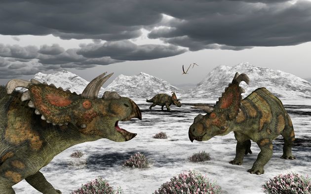 Selon une étude récente, des dinosaures ont vécu en Arctique en dépit des...