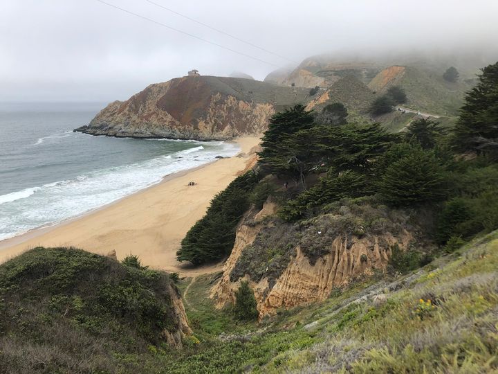 A man was swimming off of Grey Whale Cove State Beach, just south of San Francisco, on Saturday when he was bitten by a great white shark, authorities said.