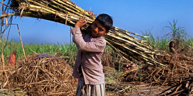 Child labour, Deoria, Uttar Pradesh, India. (Photo by: IndiaPictures/UIG via Getty Images)