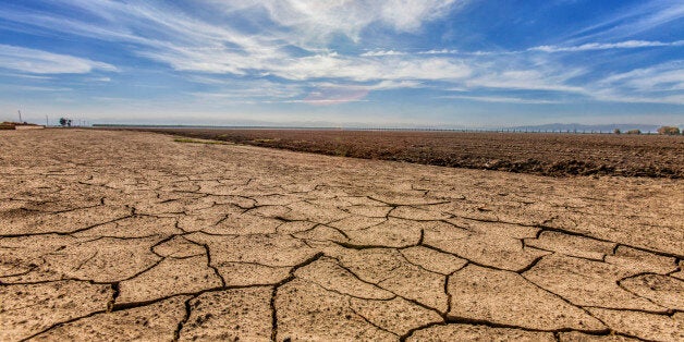 Cracked and dry earth next to fallow crop field, Fresno County, San Joachin Valley