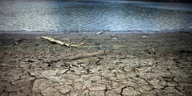 This June 15, 2015 photo shows mud cracks at the drought affected Carraizo reservoir in Trujillo Alto, Puerto Rico. Thanks to El Nino, a warming of the tropical Pacific Ocean that affects global weather, the worst drought in five years is creeping across the Caribbean, prompting officials around the region to brace for a bone dry summer. (AP Photo/Ricardo Arduengo)