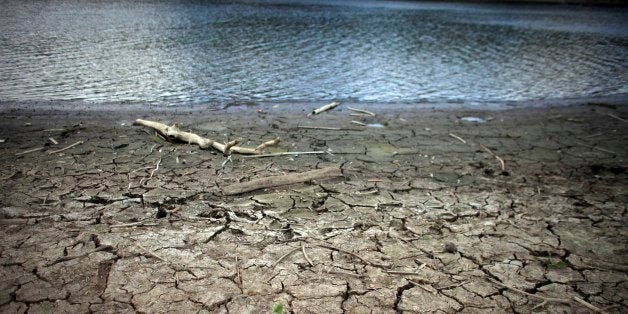 This June 15, 2015 photo shows mud cracks at the drought affected Carraizo reservoir in Trujillo Alto, Puerto Rico. Thanks to El Nino, a warming of the tropical Pacific Ocean that affects global weather, the worst drought in five years is creeping across the Caribbean, prompting officials around the region to brace for a bone dry summer. (AP Photo/Ricardo Arduengo)