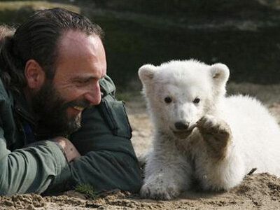 Berlin Mourns For Polar Bear's Dead Zookeeper 