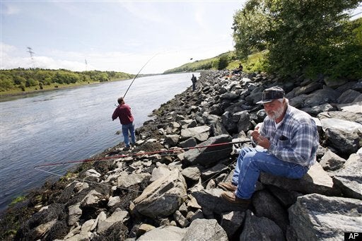 Wyoming Game And Fish Draw Information Available HuffPost Latest News