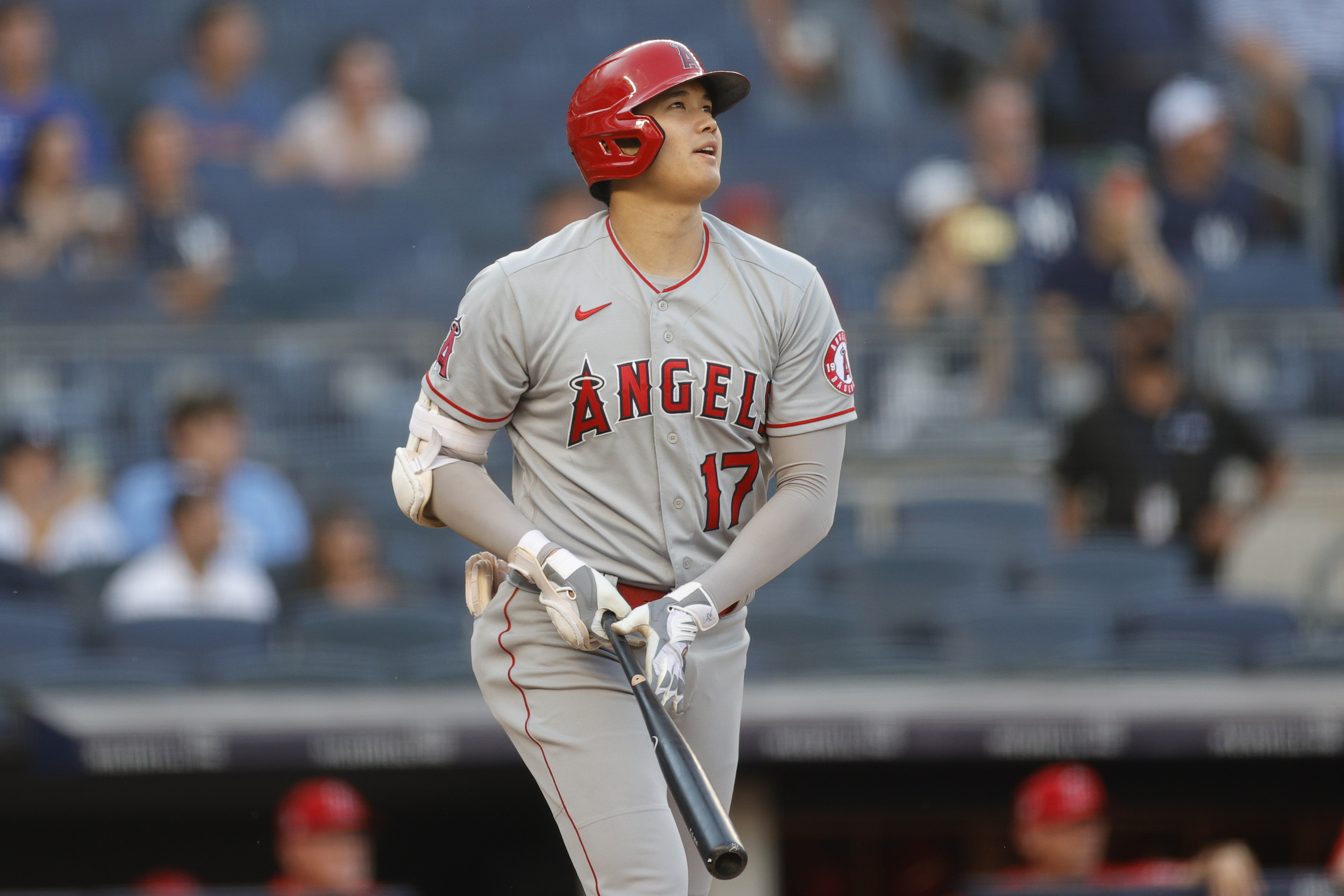 2023 WBC 大谷 翔平選手 (打者)ゴールドカラーコインの+