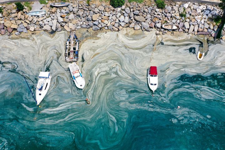 22 Ιουνίου 2021 - Τουρκία - Η θάλασσα του Μαρμαρά έχει κατακλυστεί από τη θαλάσσια βλέννα. 