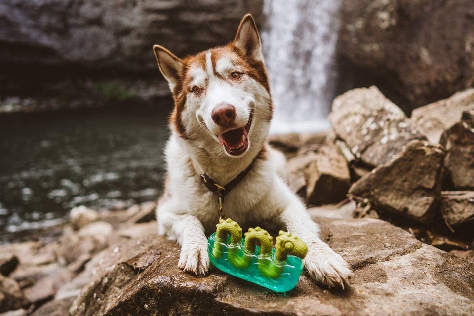 A multi-textured rubber-and-nylon chew toy