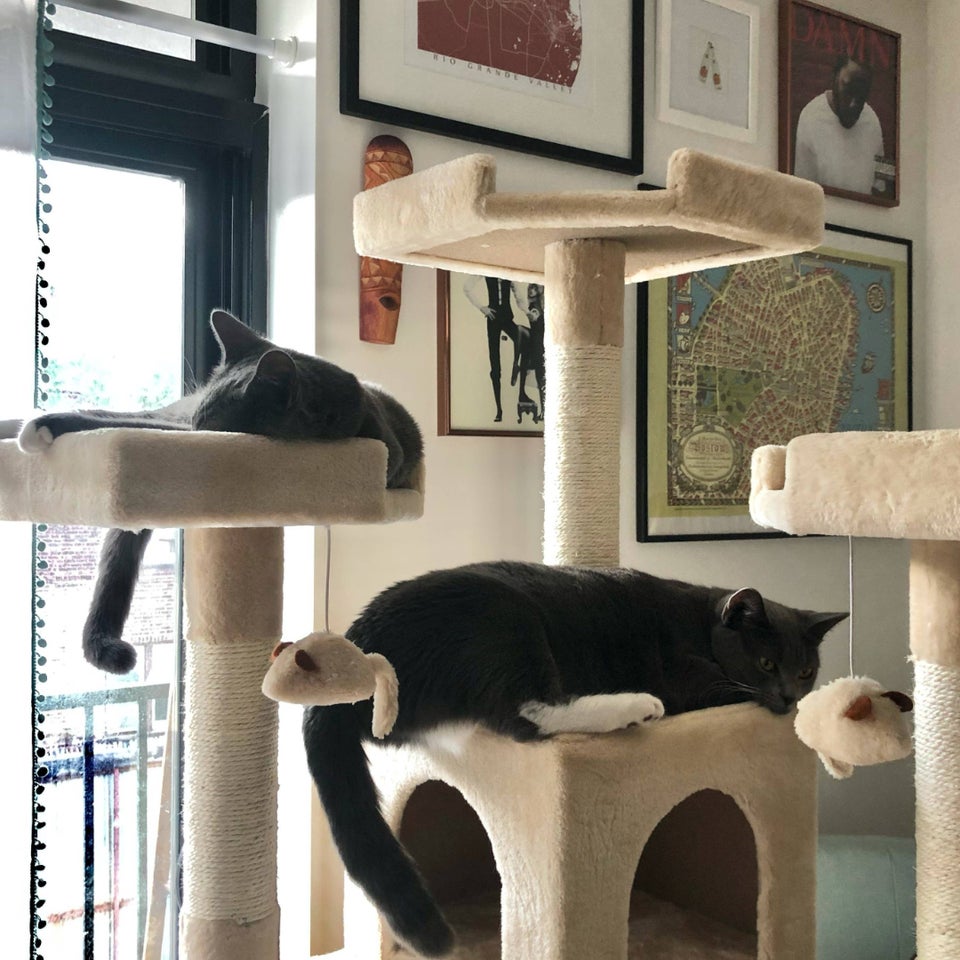 A three-story cat tree