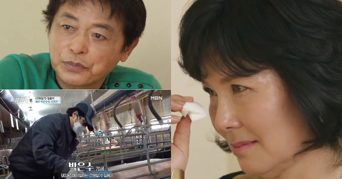 "많이 그리웠으나 만나고 싶지 않았다" 김혜정이 '돼지농장 일꾼'으로 일한다는 박은수를 20년만에 재회하며 복잡한 심경을 밝혔다 - Vimarsana News