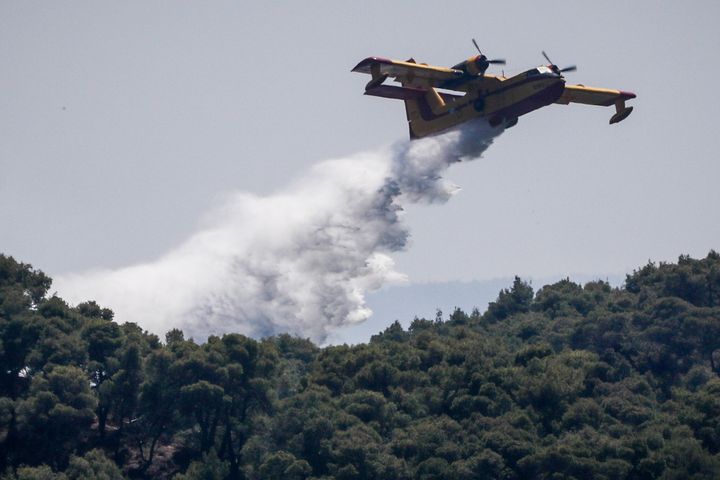 Φωτογραφία αρχείου