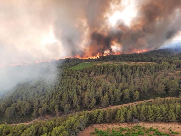 Un incendie dans l'Aude le 3 juillet 2021