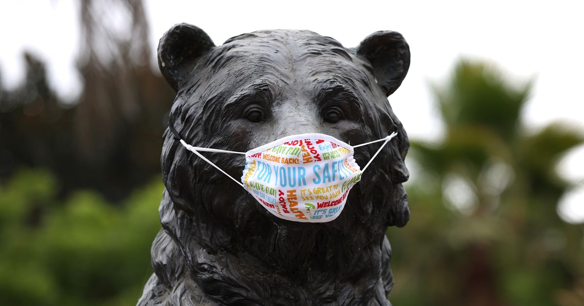 Bears, Big Cats And Ferrets Get COVID-19 Vaccine At Oakland Zoo