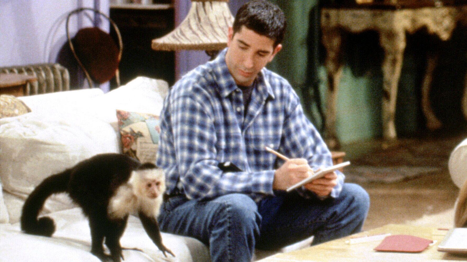'Friends' Monkey Trainer Brands David Schwimmer 'Despicable' Over Marcel Digs