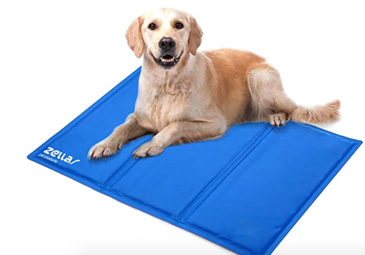 Esterilla refrigerada para perros.