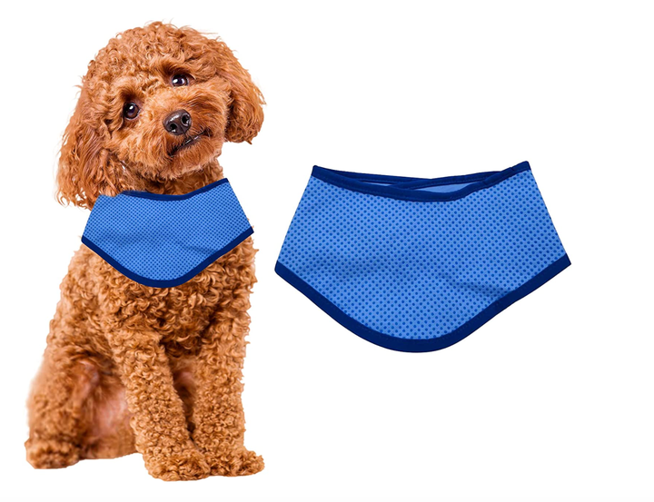 Perro con collar refrigerante.