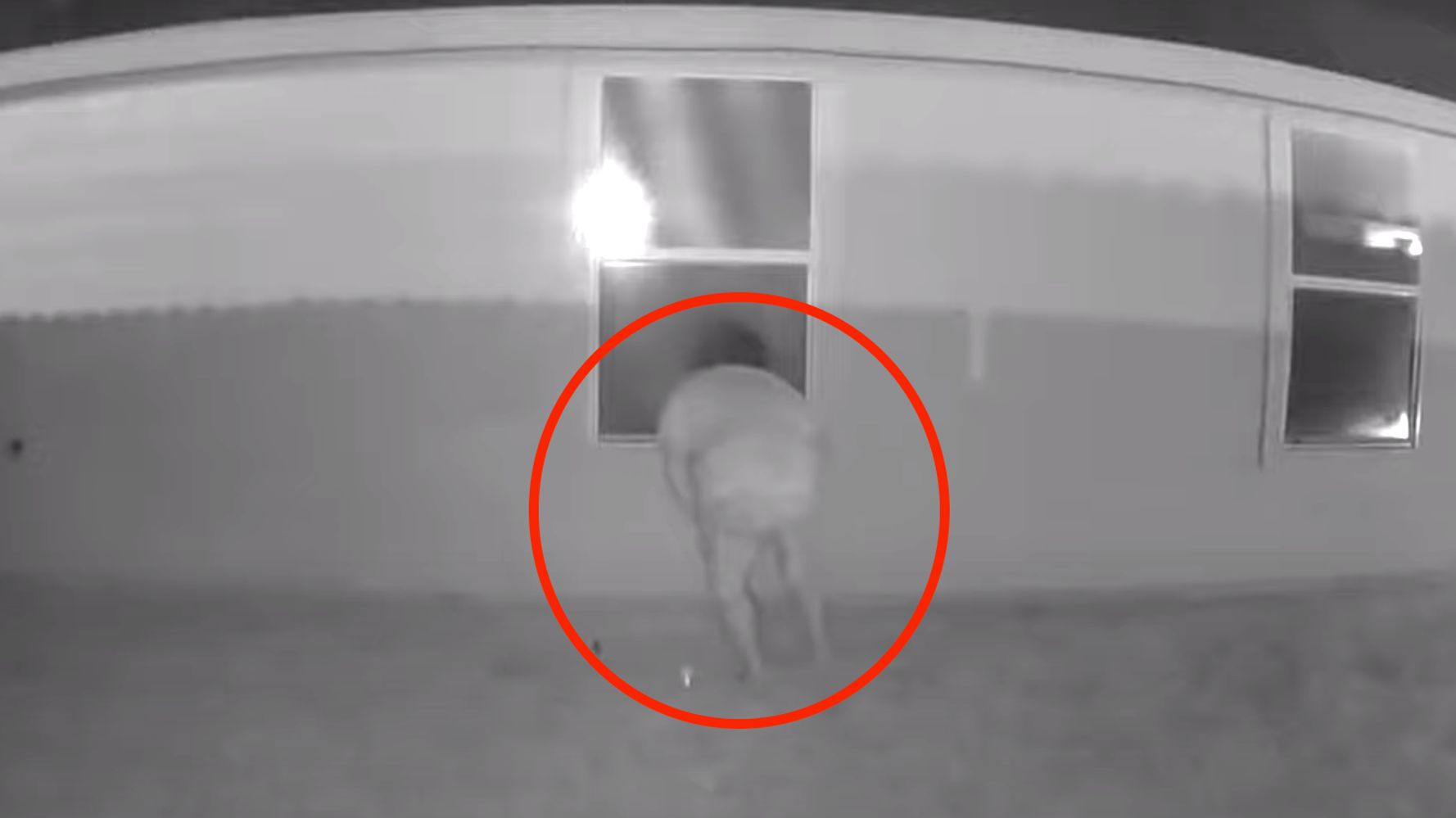 Texas Woman Who Felt She Was Being Watched Catches Scary Sight On Night-Vision Cameras