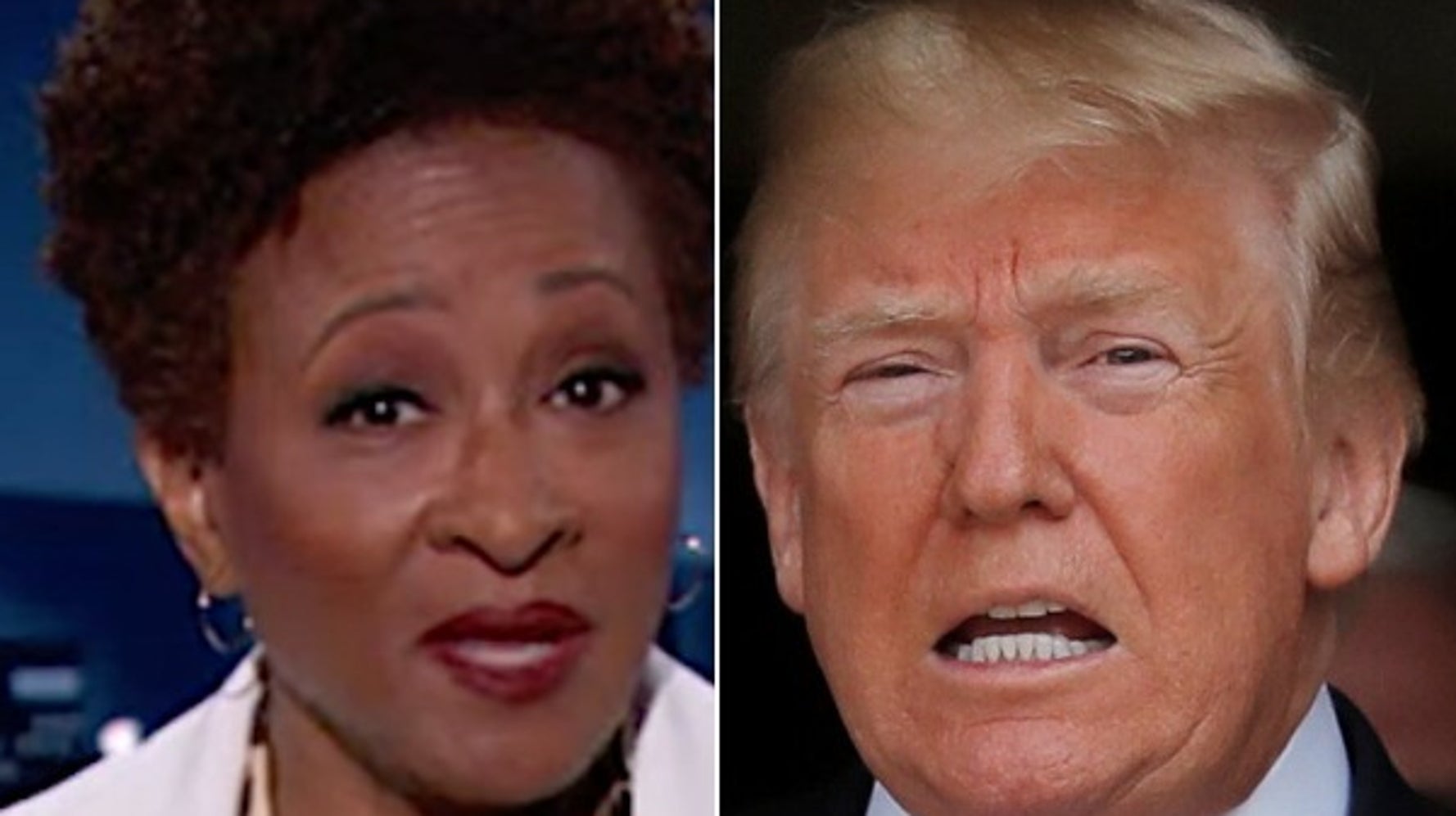 Comedian Wanda Sykes Trolls Trump By Revealing The 'Only Good Thing' Hitler Ever Did