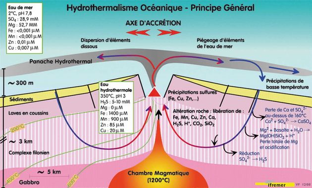 Schéma d'une coupe transversale de dorsale rapide: le cycle de l'eau donne naissance aux sources hydrothermales. Ces sources d'eaux chaudes abritent une vie extraordinaire composée d'organismes adaptés à l'absence de lumière et d'oxygène.