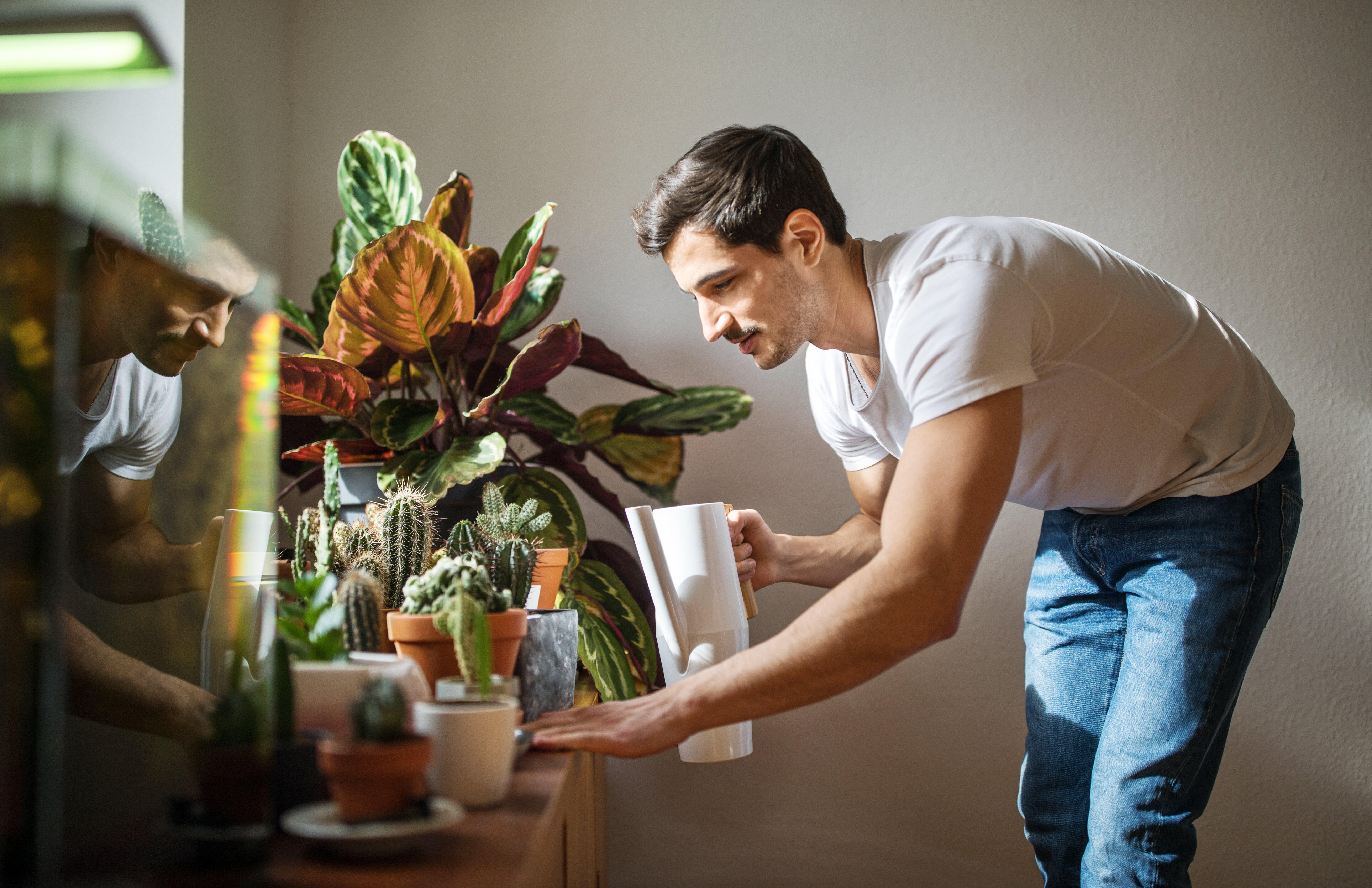 7 astuces pour l'entretien de vos plantes en vacances