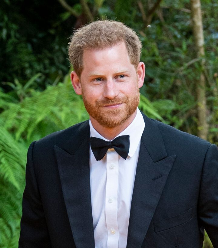 “Prince Harry will share, for the very first time, the definitive account of the experiences, adventures, losses, and life lessons that have helped shape him,” Random House announced. 