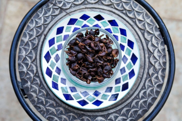 The outer skin that protects those coffee beans, seen here, is dried to become cascara.