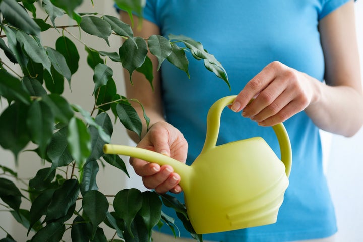 Mujer regando las plantas.