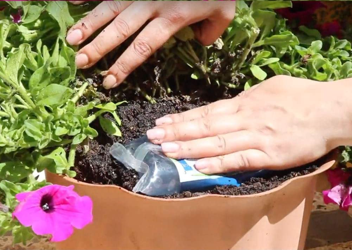 Persona colocando una bolsa de agua gelificada en una maceta.