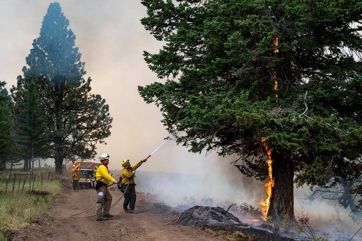 Wildland firefighters spray water onto a tree that caught fire as they were building a fire line for the Lick Creek Fire,on J