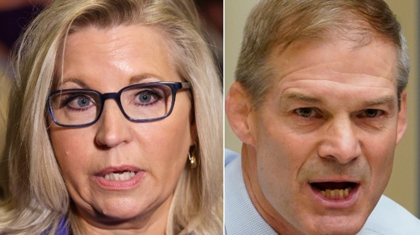 Liz Cheney Reportedly Tore Into Jim Jordan At The Capitol On Jan. 6
