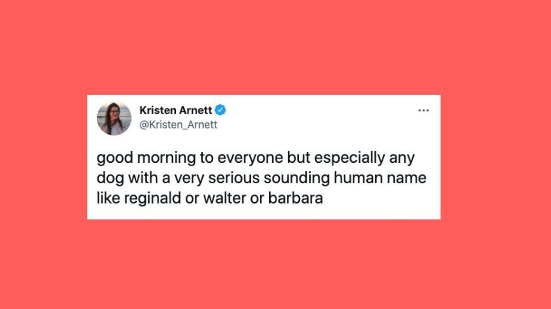 28 Of The Funniest Tweets About Cats And Dogs This Week (July 10-16) - Flipboard