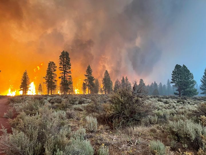 In this handout provided by the USDA Forest Service, the Bootleg Fire burns on July 12 in Bly, Oregon. The Bootleg Fire has spread over 212,377 acres, making it the largest among the dozens of blazes fueled by record temperatures and drought in the western United States.